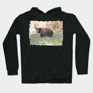 Black Bear No.1 Hoodie